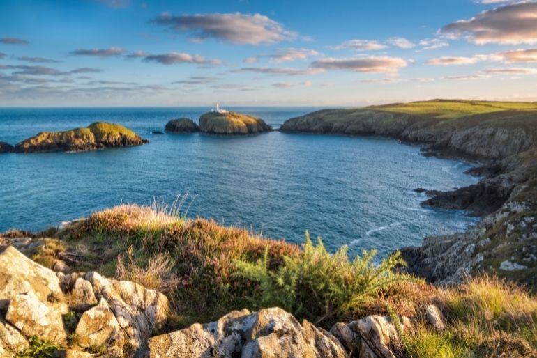 greatlittlebreaks-blog-best-dog-walks-uk-pembrokeshire